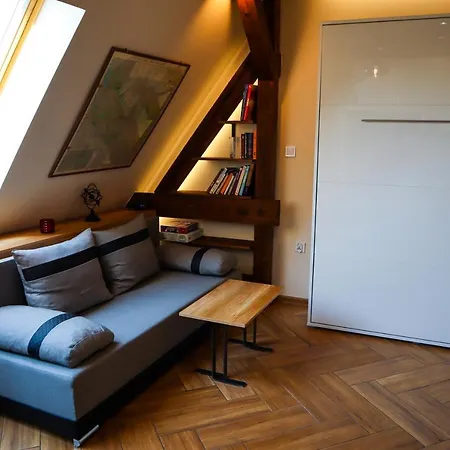 Attic Jezyce Apartment Poznan
